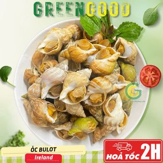 Ốc Bulot - Ốc Nhập Khẩu Tại GreenGood