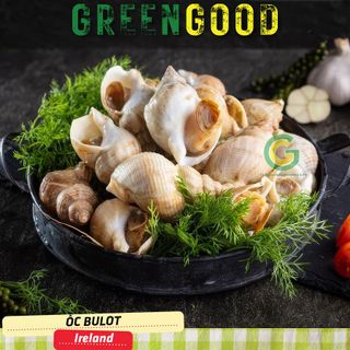 Ốc Bulot - Ốc Nhập Khẩu Tại GreenGood