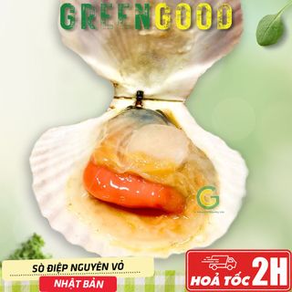 Sò Điệp Nguyên Vỏ Nhật Bản - Nhập Khẩu GreenGood