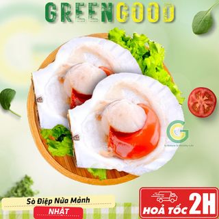 Sò Điệp Nửa Mảnh Nhật Bản Size L - Nhập Khẩu GreenGood
