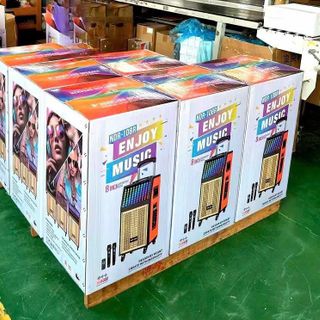 Loa karaoke NDR-115R  (2 míc ko dây)