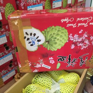 NA DAI ĐÀI LOAN HAY MÃNG CẦU ĐÀI LOAN