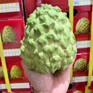 NA DAI ĐÀI LOAN HAY MÃNG CẦU ĐÀI LOAN