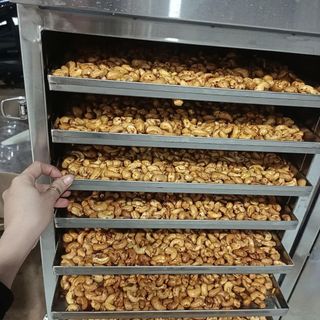 MÁY SẤY THỰC PHẨM ĐA NĂNG TUẦN HOÀN NHIỆT ĐỘ CAO (150 ĐỘ) giá sỉ