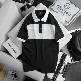 ÁO THUN POLO PHỐI 2 MÀU
