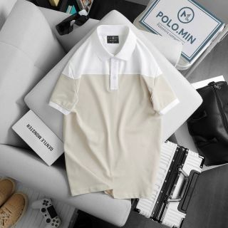 ÁO THUN POLO PHỐI MÀU