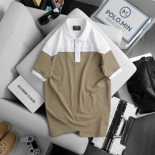 ÁO THUN POLO PHỐI MÀU