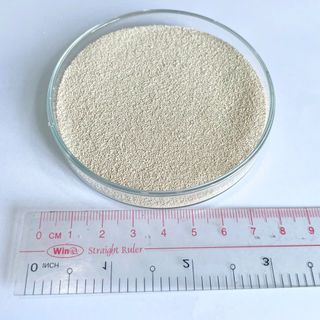 Sản phẩm Ly 234 ( Nấm men Saccharomyces cervisiae ) Phileo