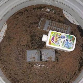 Tẩy lồng máy giặt Ailla