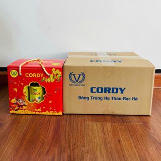 NƯỚC ĐÔNG TRÙNG HẠ THẢO BẠC HÀ - CORDY