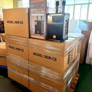 Loa Bluetooth Karaoke NDR- C8 kèm 2 mic