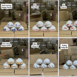 Hộp 10 chén họa tiết