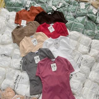 B35- Áo thun Nữ cổ tim V cotton Bozip tay Ngắn dáng Basic phom ôm Top Women