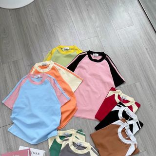B26- Áo thun Babytee Nữ thun Borip tay ngắn Raglan 2sọc cotton Women