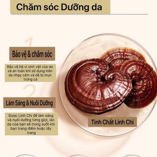 Kem nền dạng thỏi 3in1 HARINSGI Nội Địa Trung Cao Cấp 100% ( Hàng Giá Tận Xưởng )