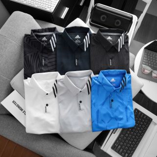 Polo das vải xuất dư 4c xịn, ép boding cao cấp Sz smlxlxxl/12221