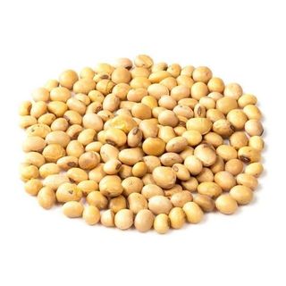 Mua đậu nành giá sỉ Vựa đậu nành Công ty bán đậu nành hạt Cần mua đậu nành số lượng lớn Mua hạt đậu nành TPHCM Giá đậu nành hôm nay Giá bán đậu nành hạt Giá đậu nành bao nhiêu 1kg