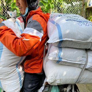 Dầu cọ can / dầu gấc can / dầu dừa can / dầu oliu can / dầu bơ can / dầu hạnh nhân / dầu nho / dầu cám gạo/ tinh dầu matxa thơm can các loại / dầu matxa hoa lài ,gừng , rose,lavender