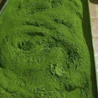 Bột trà xanh thái nguyên / bột matcha vn / matcha Nhật / bột trà xanh loại rẻ xanh mịn