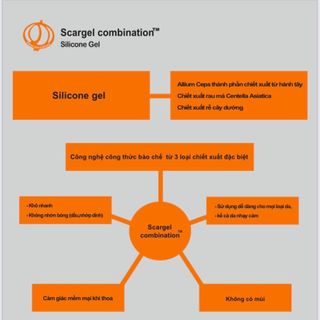 Gel làm giảm sẹo Scargel Combination 30g