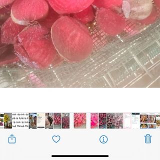 Bột củ dền sấy lạnh/ sấy nhiệt