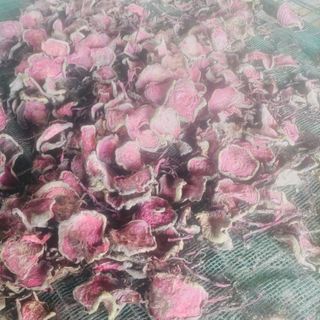 Bột củ dền sấy lạnh/ sấy nhiệt