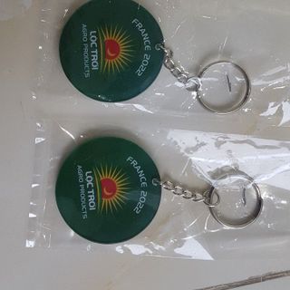 Móc khóa nhựa mica