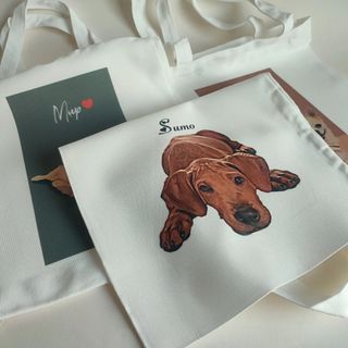 Combo túi và ly sứ