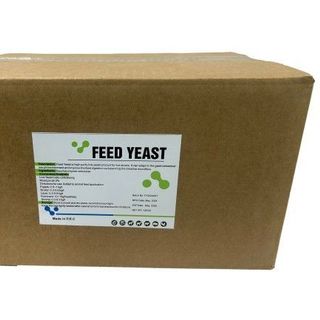 FEED YEAST – NẤM MEN SACCHAROMYCES CEREVISIAE ĐẬM ĐẶC giá sỉ