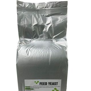 FEED YEAST – NẤM MEN SACCHAROMYCES CEREVISIAE ĐẬM ĐẶC