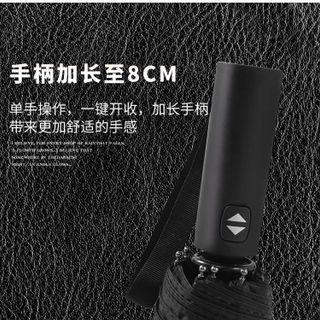 Cây Dù 2 Chiều Tự Xếp