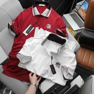 ÁO THUN CỔ BẺ THIẾT KẾ CAO CẤP POLO PACK POKER - THỜI TRANG HC