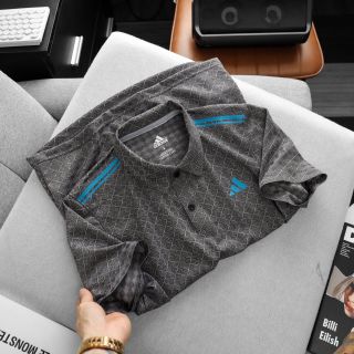 Polo das vải xuất dư 4c mịn mát, ép boding cao cấp Sz smlxlxxl/12221