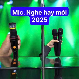 2 Micro không dây loa kéo xám đầu kim loai6 nâng tiếng âm thanh hút