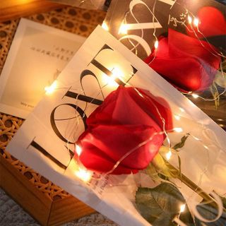 10 Túi kính Đựng hoa giá Sỉ