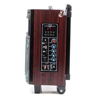 LOA  kéo Karaoke  6.5inch  gỗ xịn kèm 2 Mic không dây  100w chính hãng bán siêu thị Củ Loa Nghe Nhạc Bluetooth Phụ Kiện