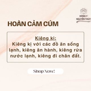 HOÀN C.ẢM C.ÚM giảm mệt mỏi, nhanh hồi phục cơ thể