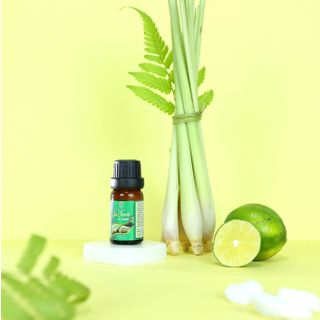 TINH DẦU SẢ CHANH