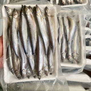 CÁ TRỨNG NAUY 60% TRỨNG VỈ 500G