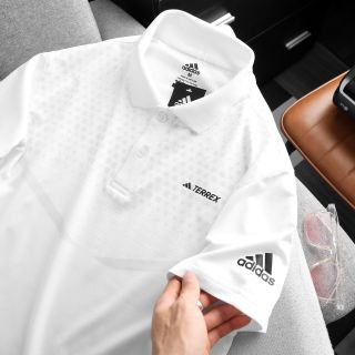 Áo polo das vải xuất dư xịn mịn Size smlxlxxl/12222 (ri 9)
