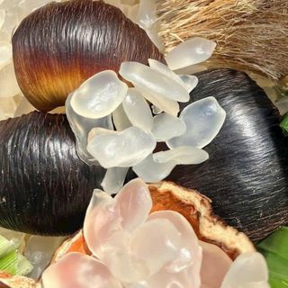 THỐT NỐT THÁI SẤY DẺO - TỰ NHIÊN - NGON - BỔ - NGỌT THANH 500G - WINNIE HOUSE