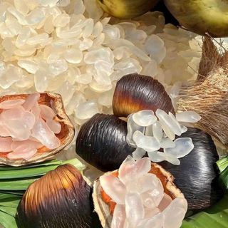 THỐT NỐT THÁI SẤY DẺO - TỰ NHIÊN - NGON - BỔ - NGỌT THANH 500G - WINNIE HOUSE