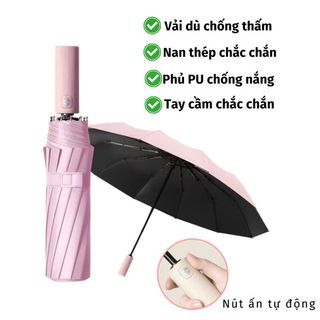 Dù 24 nan tự động gấp gọn