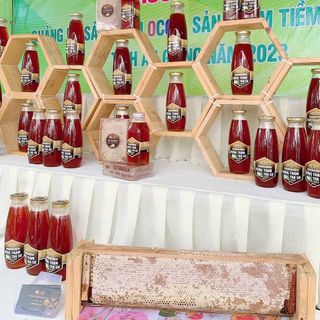 Mật ong rừng Tràm Trà Sư 350ml