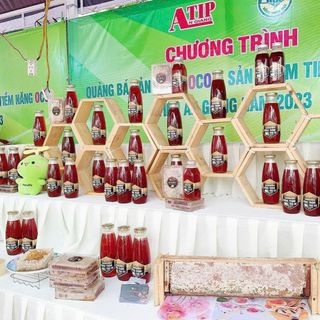 Mật ong rừng Tràm Trà Sư 500ml