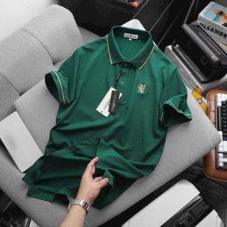 ÁO THUN CỔ BẺ THIẾT KẾ CAO CẤP POLO LION KING- THỜI TRANG HC