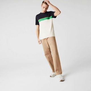 Áo thun nam. Chất vải cotton 2c phối màu chuẩn hãng, đường may tỉ mỉ. Logo in cao