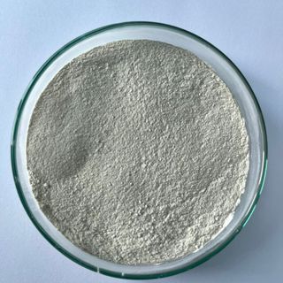 ENZYME XYLANASE FXY-100