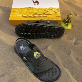 Sandan da xịn con lạc đà