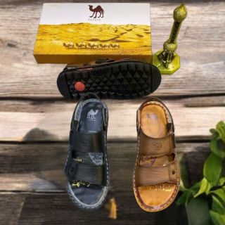 Sandan da xịn con lạc đà